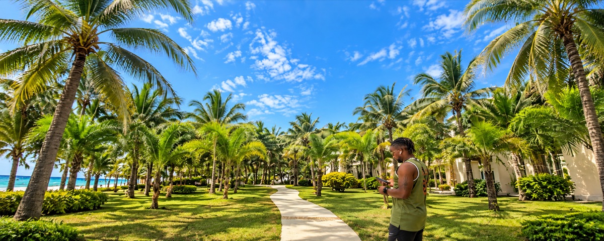 A palm-lined walkway opening toward a bright tropical coastline